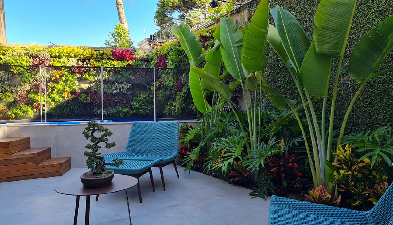 Jardim com Crescimento Desenfreado