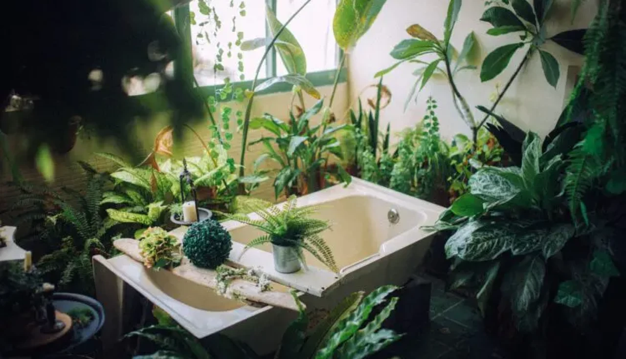 Jardins com Crescimento Desenfreado